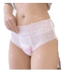 Sanitary Pants Manufacturer - Disposable Adult Wearing Lady