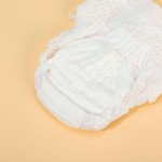 Sanitary Pants Manufacturer - Disposable High Absorption Lady