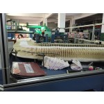 Baby Diaper Manufacturer - Comfortable Non Woven Fabric ISO