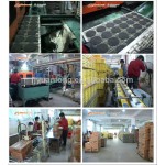 Mosquito Coil Manufacturer - RAD Baby Healthy 125MM Nigeria