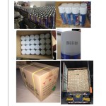 Insecticide Spray Factory - Leone RAD Pest Control 400ml