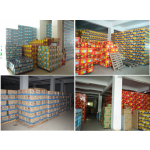 Baby Diaper Supplier - China Economic Cheap Distributor