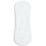 Panty Liner Supplier - Hot Sale Personalised Organic Dry