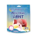 Sanitary Pants Factory - Factory Hot Selling Blood Absorbent