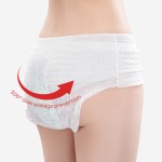 Sanitary Pants Factory - Factory Hot Selling Blood Absorbent