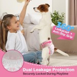 幼犬训练裤工厂- disposable 超吸收