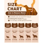 犬纸尿裤供应商- disposable 超吸收防漏