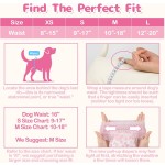 幼犬训练裤工厂- disposable 超吸收