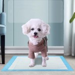 幼犬尿垫供应商-特大30x30重吸收