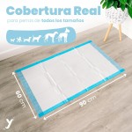 犬尿垫供应商-超吸收5层防漏