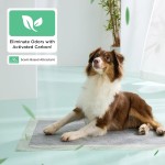 幼犬训练垫生产商-超吸收5层