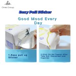 Sanitary Pads Factory - 350mm 420mm Anion Organic