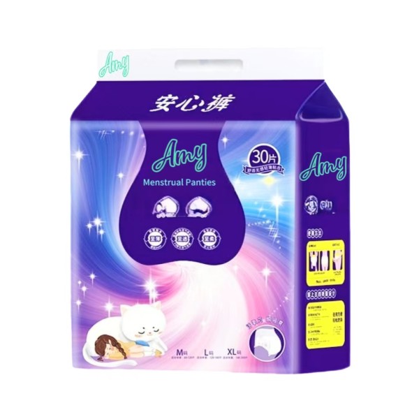 Sanitary Pads Factory - Disposable Period Underwear Heavy