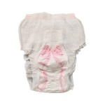 Menstrual Panties Factory - 2025 Top 1 Sales Eco-friendly