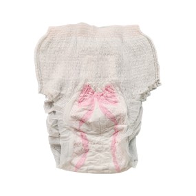 Menstrual Panties Factory - 2025 Top 1 Sales Eco-friendly