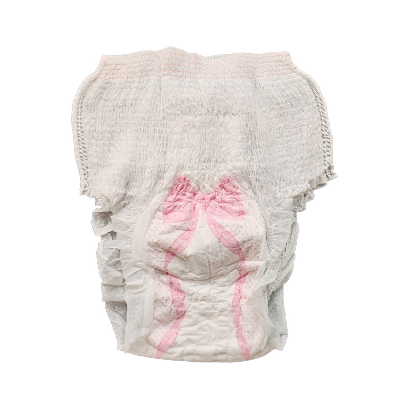 Menstrual Panties Factory - 2025 Top 1 Sales Eco-friendly