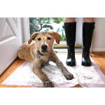 Pet Pad Factory - Sun Care OEM Disposable Training