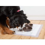 Pet Pad Factory - Sun Care OEM Disposable Training