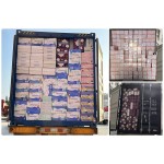 Sanitary Napkin Manufacturer - Women's Super Absorption OEM