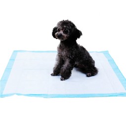 Pet Pad Factory - Sun Care OEM Disposable Training