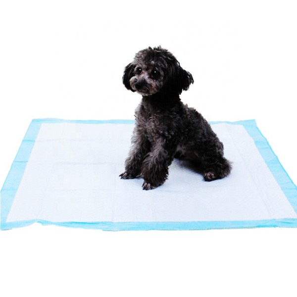 Pet Pad Factory - Sun Care OEM Disposable Training