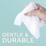 Wet Toilet Paper Manufacturer - BB Kitty Biodegradable 99%