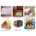 Dog Training Pad Supplier - Sun Care OEM 5 Layer Leak