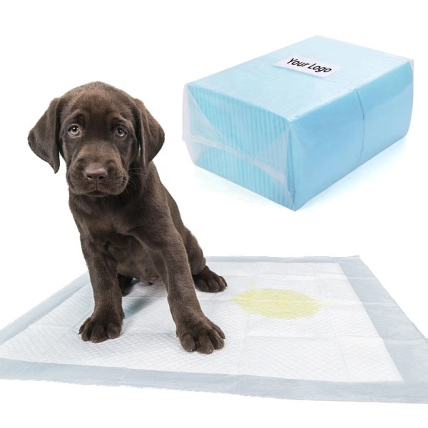 Dog Training Pad Supplier - Sun Care OEM 5 Layer Leak