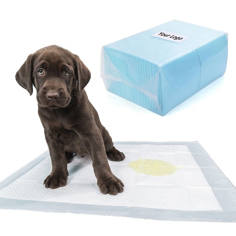 Dog Training Pad Supplier - Sun Care OEM 5 Layer Leak