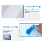 Sanitary Napkin Supplier - Sunny Air Ultra Clean Mint