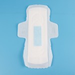 Panty Liner Manufacturer - B Grade Anion Biodegradable
