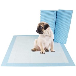Pet Training Pad Manufacturer - Sun Care OEM Puppy Pad