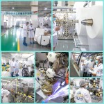 Baby Diaper Supplier - Sun Care B Grade Japan Quality