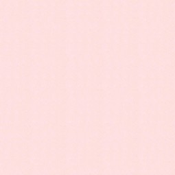 面料生产厂家-100%涤纶短毛绒超软