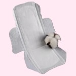 Sanitary Pads Supplier - Day Use Maternity 245mm