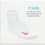 Sanitary Napkins Factory - China Manufacturer Cheap