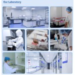 Nursing Pads Manufacturer - Factory Direct Wholesale