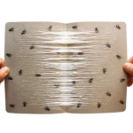 苍蝇粘板机械生产商-苍蝇陷阱生产