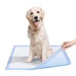 宠物马桶垫供应商-竹炭环保尿垫