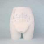 Adult Diapers Factory - OEM CE Training Pants Turn