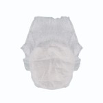 Adult Diapers Supplier - High Quality Small Assurance