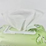 宠物湿巾供应商- disposable 降解竹纤维