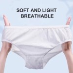 Disposable Underwear Factory - OEM Custom Hotel Travel Daily Panties