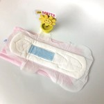 Sanitary Pads Manufacturer - OEM Anion Vaginal Care Daily Pads