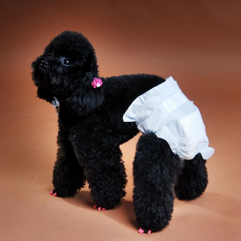 婴儿湿巾生产厂家 - 可定制护理型柔软有机湿巾