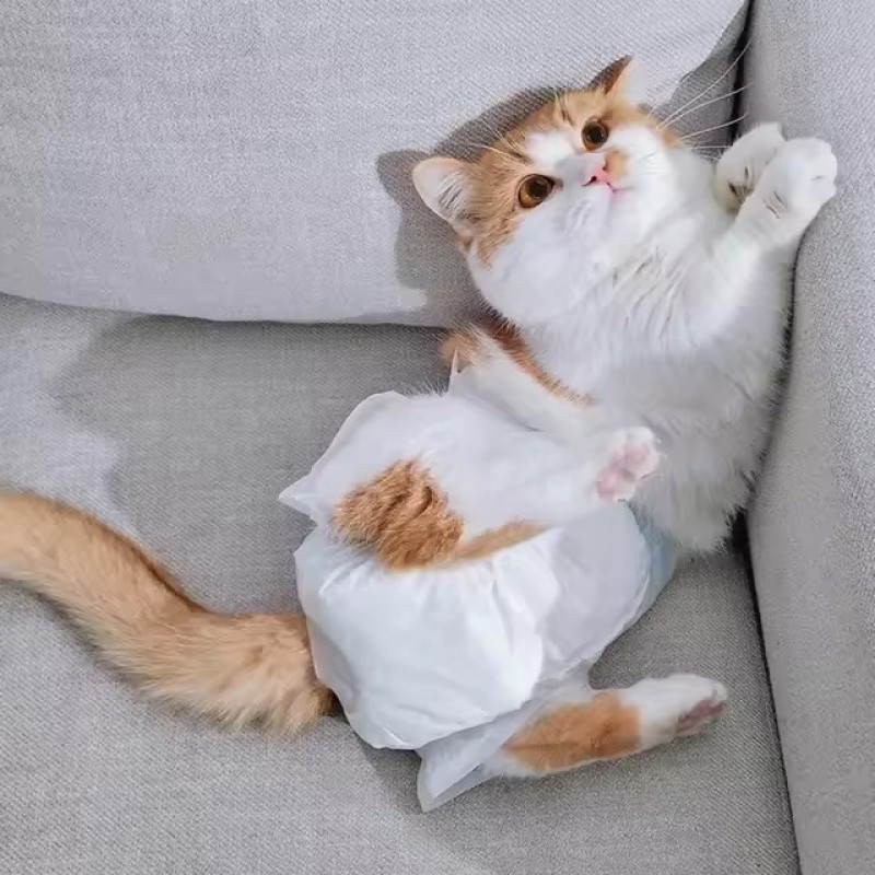 宠物训练垫生产厂家 - 可定制日本SAP大尺寸防漏训练垫