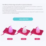 月经杯厂家 - 可定制便携运动防漏月经杯