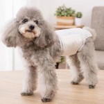 湿巾生产厂家 - 可定制清洁湿厕纸无酒精