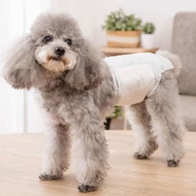 湿巾生产厂家 - 可定制清洁湿厕纸无酒精