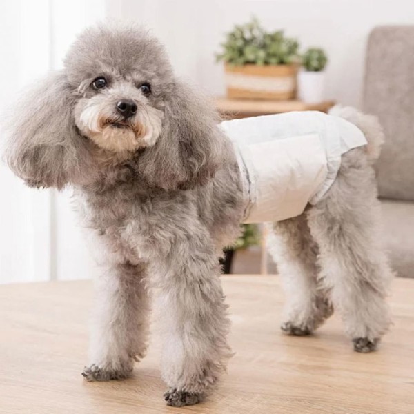 湿巾生产厂家 - 可定制清洁湿厕纸无酒精